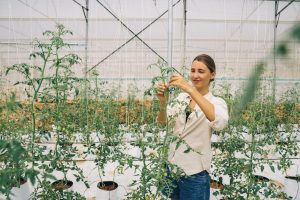 Gärtnern gegen Stress: Wie Hortitherapie das Wohlbefinden fördern kann